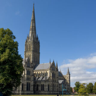 Salisbury thumb
